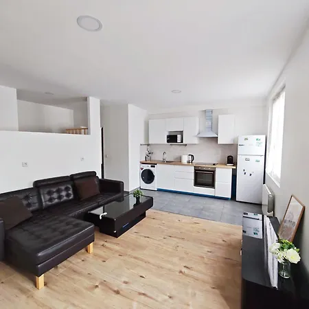 Comfortable Loft And For 2 Or 4 Persons Apartment *