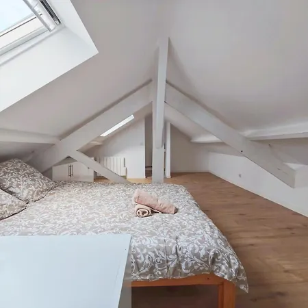 Comfortable Loft And For 2 Or 4 Persons Alfortville